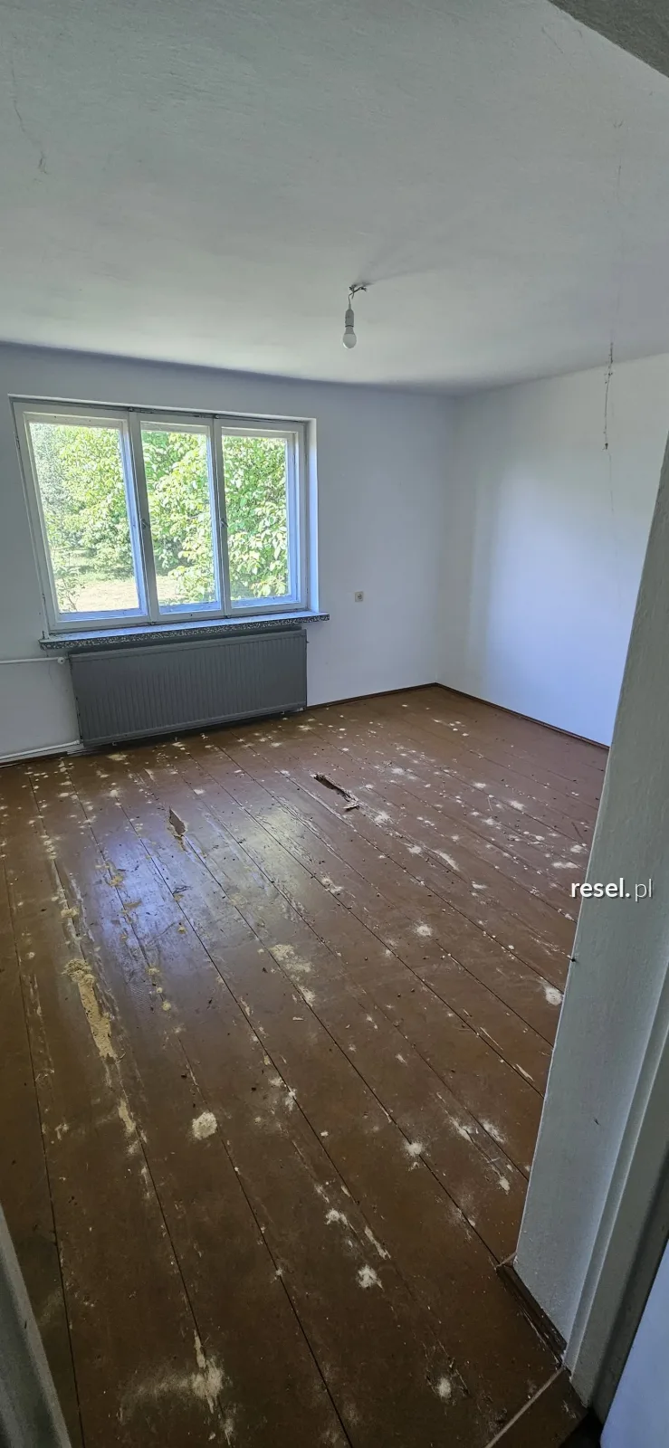Siedlisko z potencjałem | Agroturystyka | Pasieka | Hodowla – zdjęcie 8