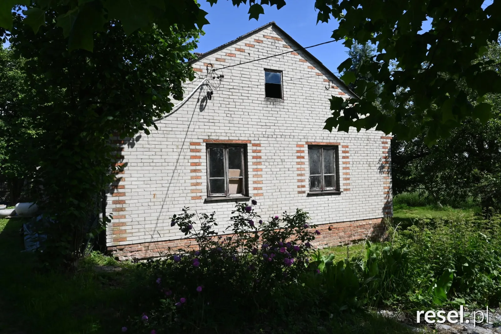 Siedlisko z potencjałem | Agroturystyka | Pasieka | Hodowla – zdjęcie 2