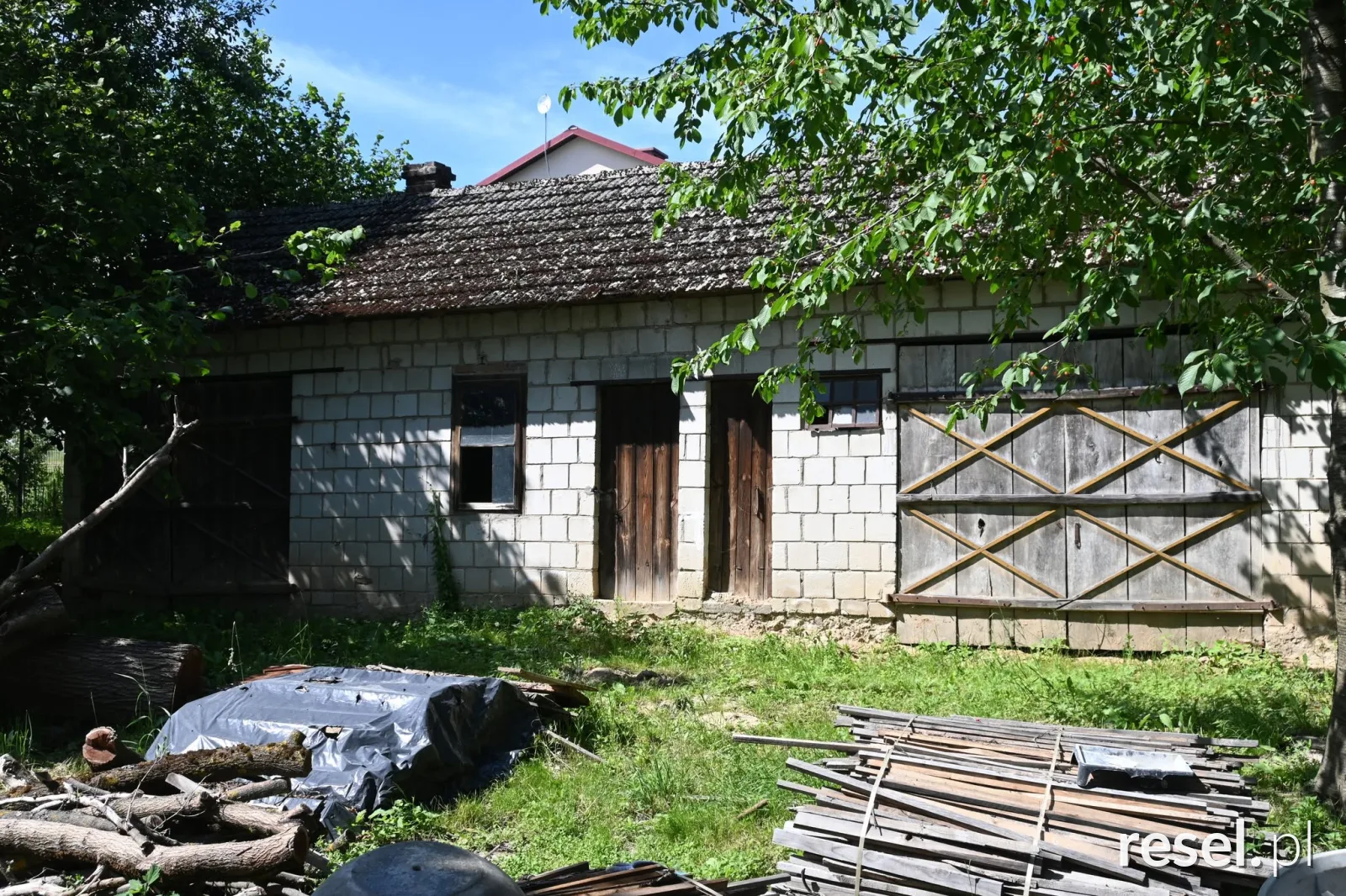 Siedlisko z potencjałem | Agroturystyka | Pasieka | Hodowla – zdjęcie 3